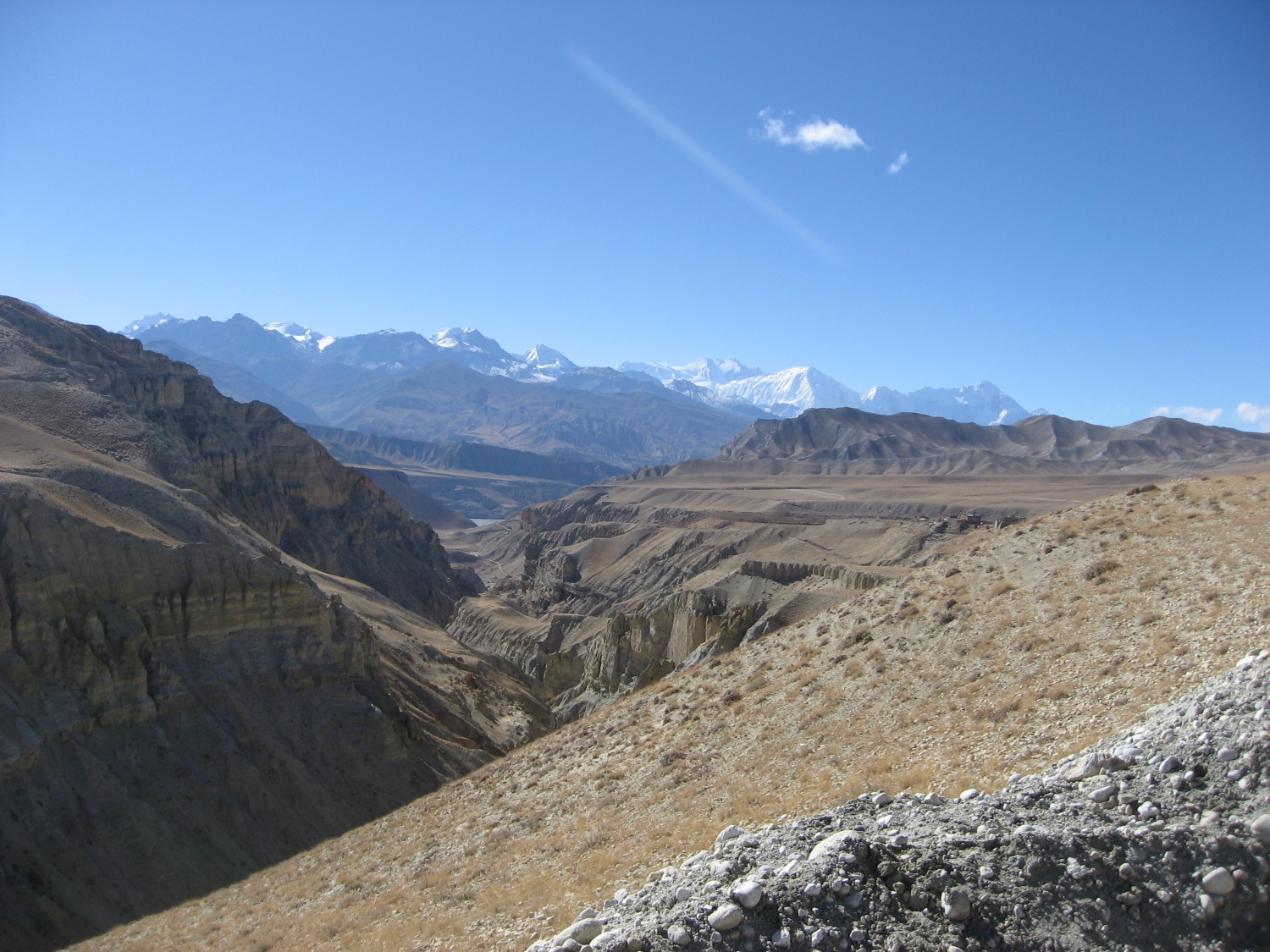  package name : Royal Mustang and Tiji festival