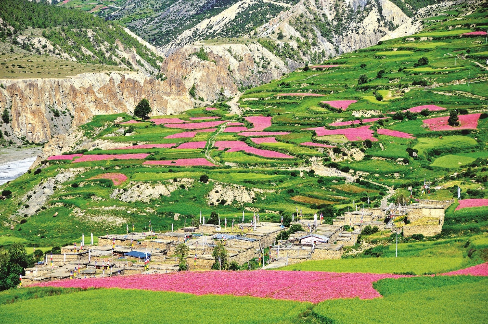 Teri La Pass Trek: Nepal's Ultimate Remote Himalayan Adventure Image