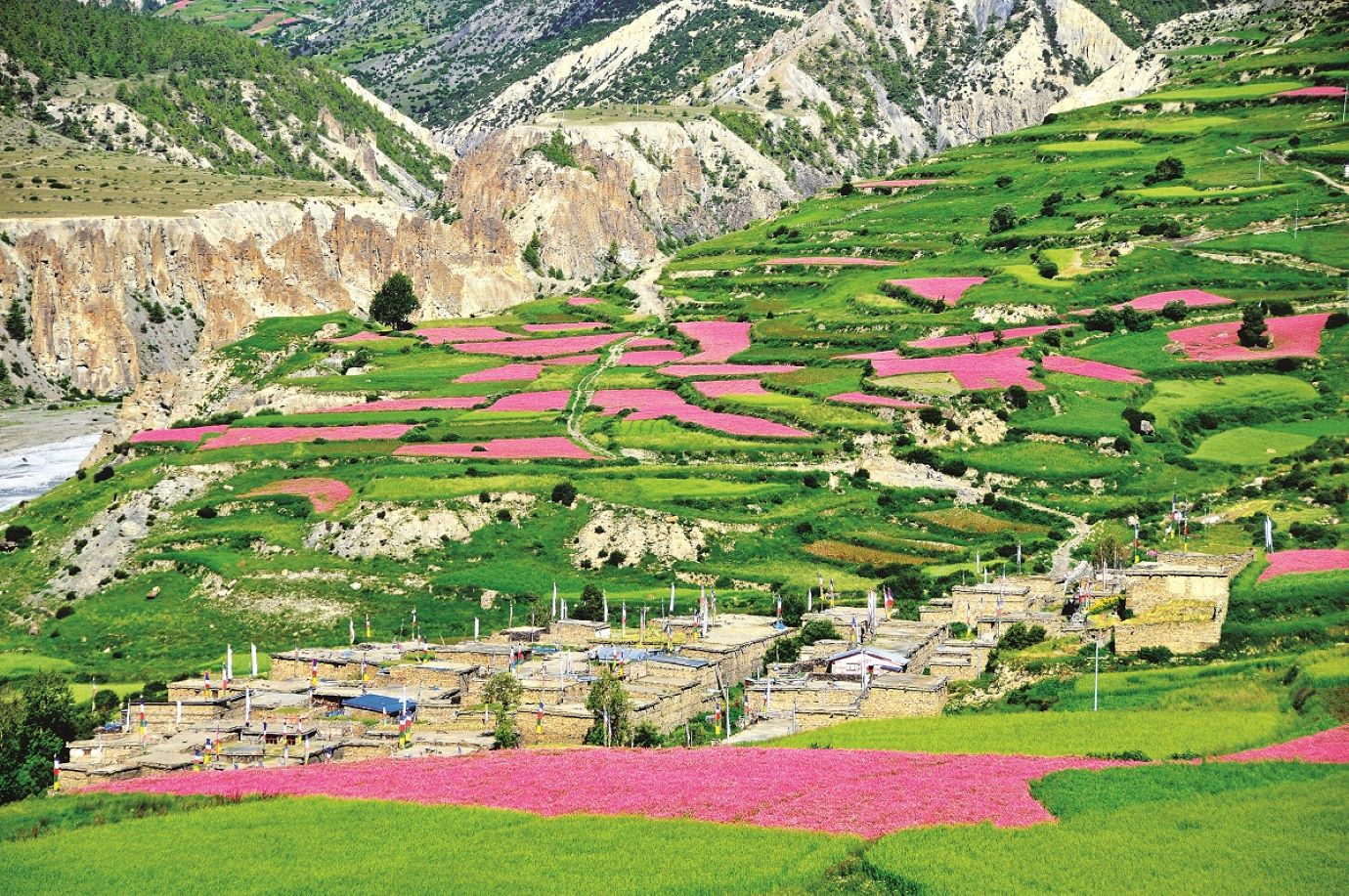 Teri La Pass Trek: Nepal's Ultimate Remote Himalayan Adventure Image