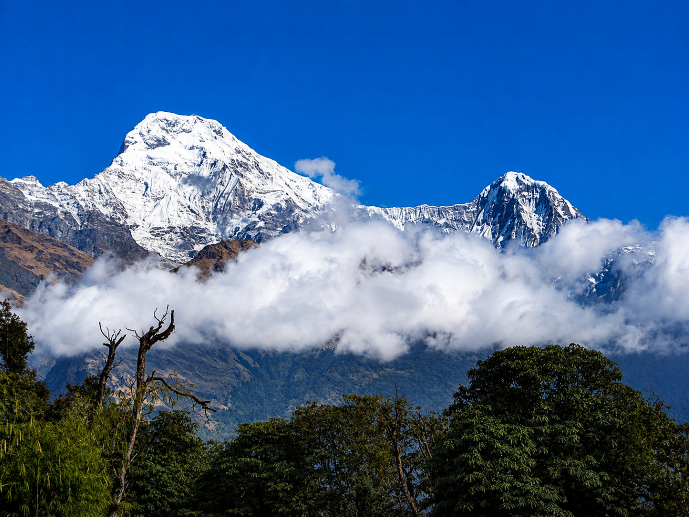 Explore Nepal: Mountains, Villages & Wildlife