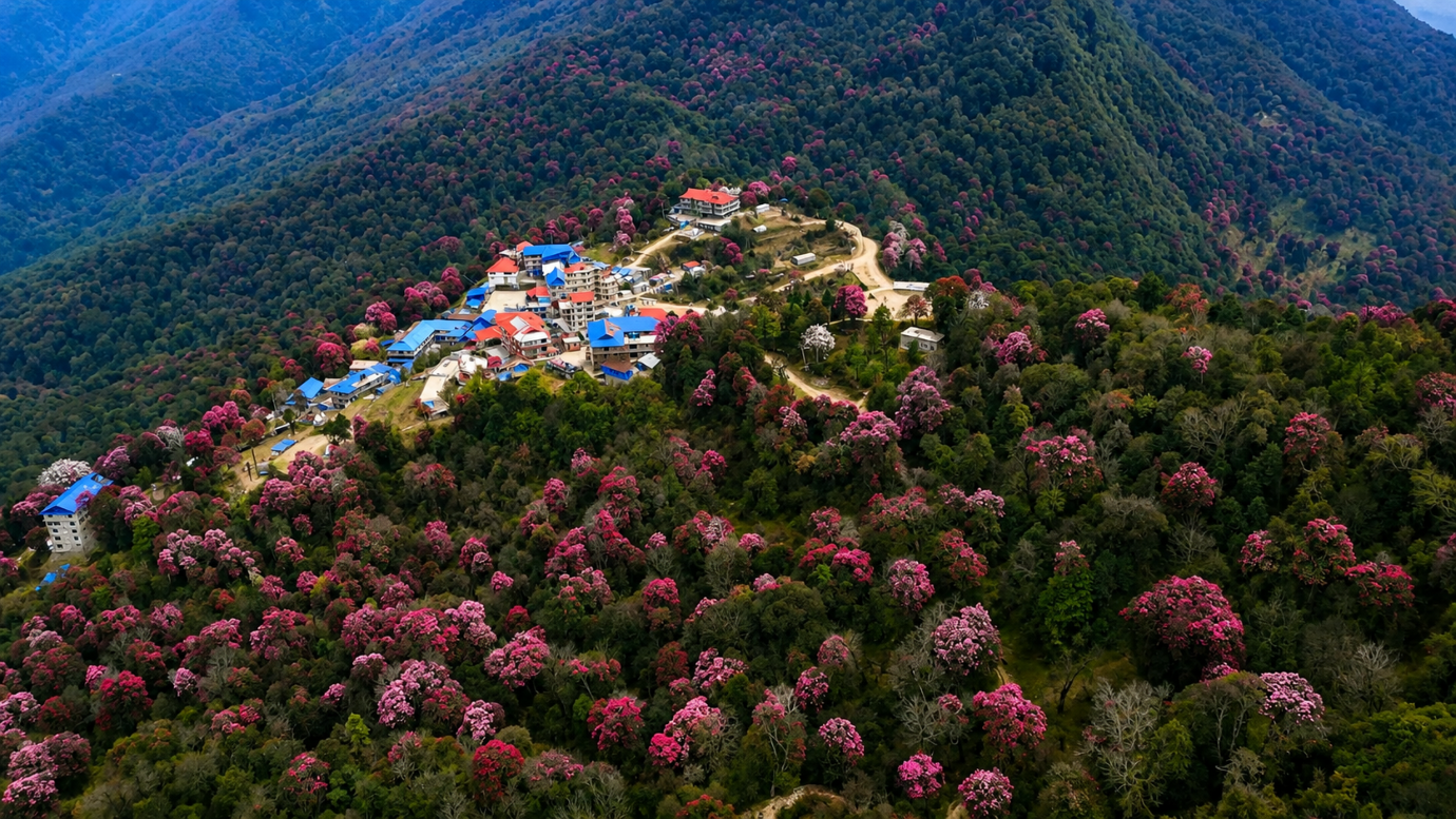 Ghorepani Poon Hill Trek