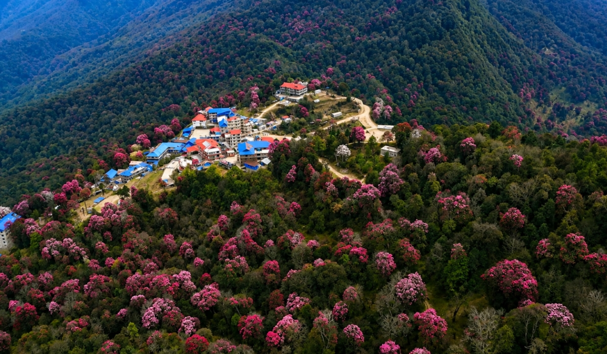 Ghorepani Poon Hill Trek