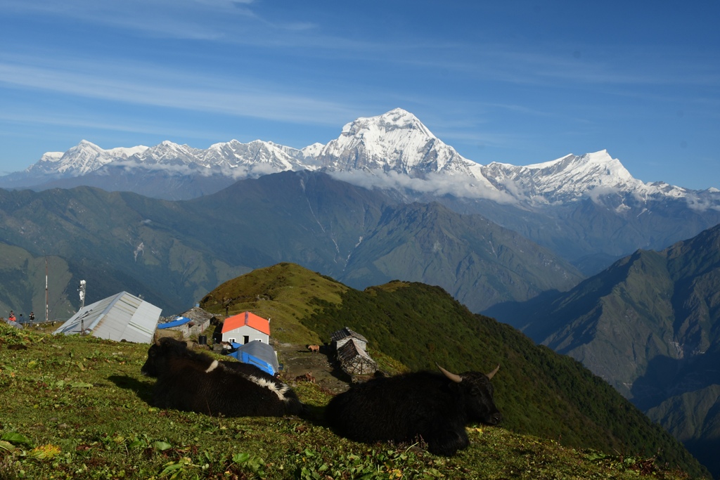 Khaptad National Park Trek